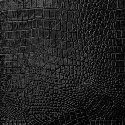 鳄鱼PNG下载鳄鱼皮皮革背景高清图片