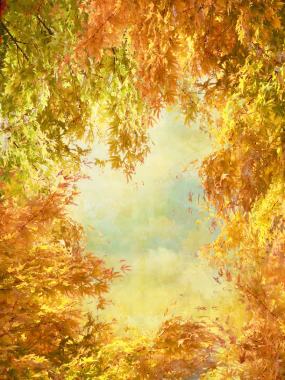 复古创意图秋天的枫叶背景背景