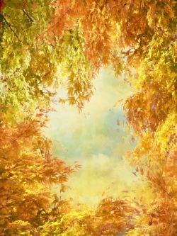 怀旧天空背景秋天的枫叶背景高清图片