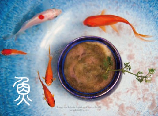 红鱼锦里跳跃盆栽背景