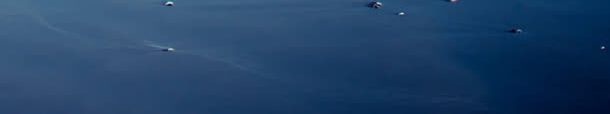 天空海岸放风筝的人海报背景jpg设计背景_新图网 https://ixintu.com 天空 海岸 海报 背景 风筝