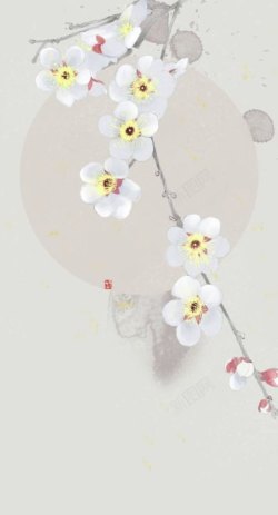 一束白色的花插画手绘白色小花插画高清图片
