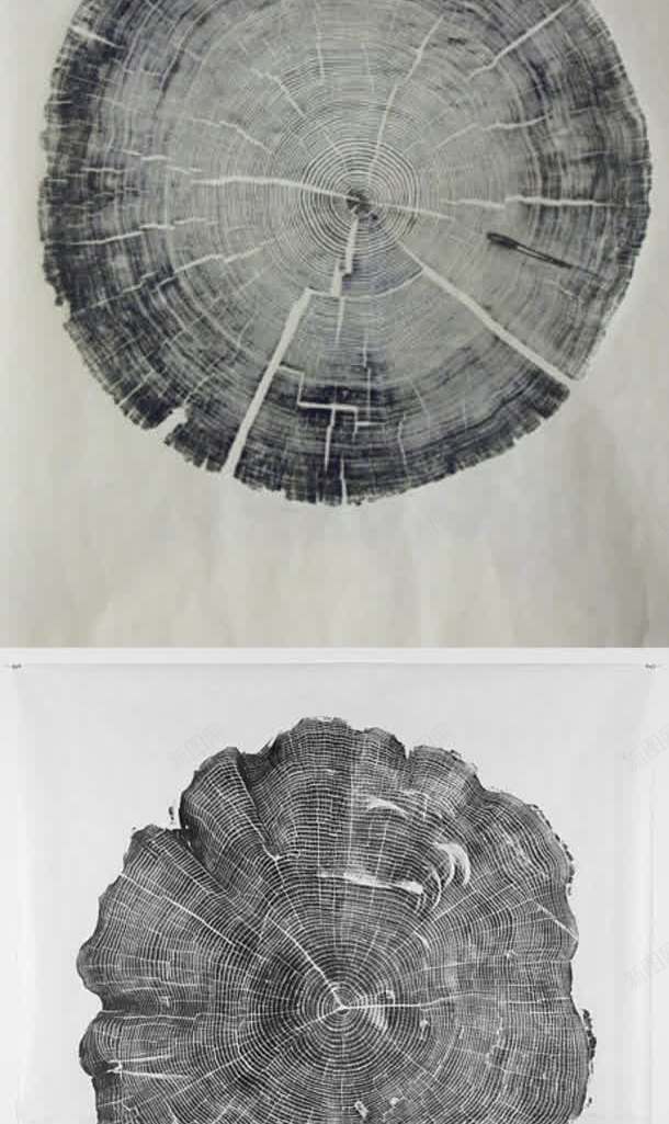 灰色树木年轮壁纸jpg设计背景_新图网 https://ixintu.com 壁纸 年轮 树木 灰色