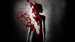 破碎的花瓣破碎的女人玫瑰花瓣海报背景高清图片