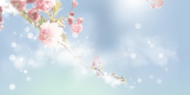 蓝色背景粉色花朵的海报背景