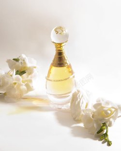 黄色香水黄色香水花朵海报高清图片
