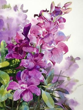 紫色水彩手绘花卉背景