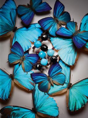 蓝色蝴蝶珠宝装饰背景