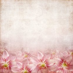 怀旧花卉背景图片粉红色花朵背景高清图片