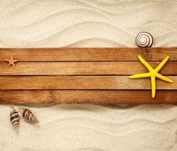 海滩海螺木板沙滩背景高清图片