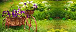 紫色草丛花园中满载花朵的自行车摄影海报背景高清图片