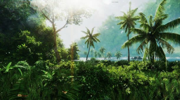 热带丛林椰子树海报背景背景