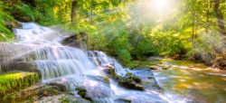 溪水早晨森林中的美丽小溪瀑布海报背景高清图片
