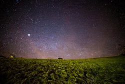 嫩绿草地紫色星空下嫩绿草地高清图片