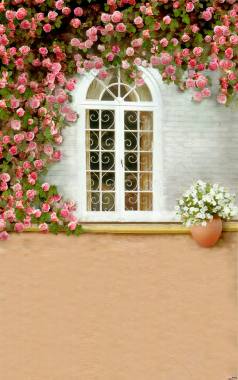 白色欧式窗户蔷薇海报背景背景