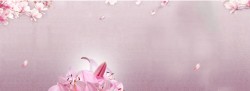 棉服羽绒服广告梦幻花朵背景高清图片