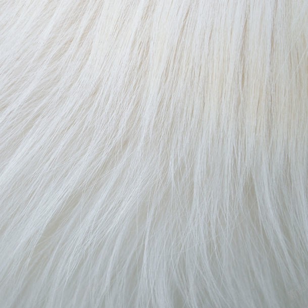 白色动物皮毛jpg设计背景_新图网 https://ixintu.com 其它类别 动物 图片素材 毛发 白色 白色动物皮毛图片 白色动物皮毛图片素材下载 皮毛 背景 背景图案 背景花边