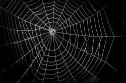 黑色蜘蛛网合成图蜘蛛网时尚背景高清图片