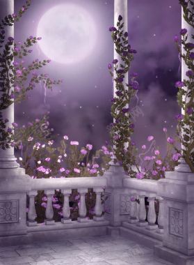 紫色梦幻花朵月光背景