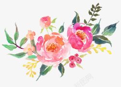 水彩印花素材手绘植物花卉高清图片