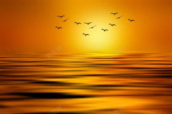 落日海面海鸥成群背景