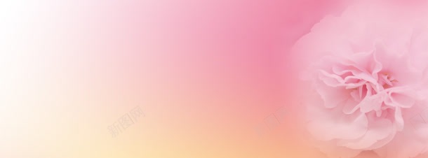 婚纱照粉色温馨花卉背景bannerjpg设计背景_新图网 https://ixintu.com banner 婚纱照 温馨 粉色 背景 花卉