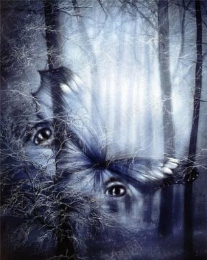 雪夜树林眼纹蝴蝶海报背景背景