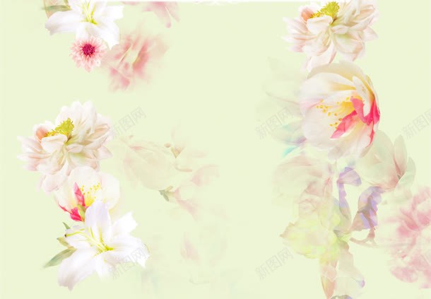 干净简约粉色花朵jpg设计背景_新图网 https://ixintu.com 干净 简约 粉色 花朵