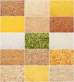 玉米粮食五谷杂粮背景高清图片