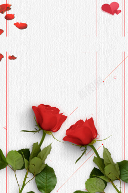 玫瑰花背景图底纹元素背景