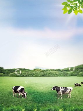 蓝天白云风景绿色草地草原牧场奶牛背景背景