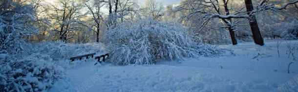 雪景冬天背景简约清新jpg设计背景_新图网 https://ixintu.com 冬天 清新 简约 背景 雪景