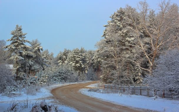 下雪后的树林和道路背景