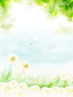 清新小树叶春季海报背景模板大全高清图片