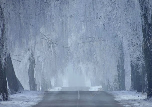 雪后街道树森风景jpg设计背景_新图网 https://ixintu.com 街道 雪后 风景