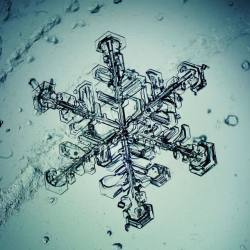 雪花结构图片图片雪花结构高清图片