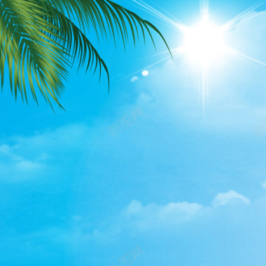 清新夏日蓝天棕榈叶背景主图摄影图片