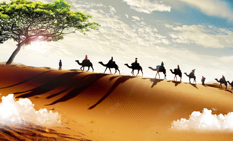 沙漠骆驼队绿洲背景psd设计背景_新图网 https://ixintu.com 大树 沙漠 沙漠绿洲 沙漠背景 沙漠骆驼 绿洲 背景素材 蓝天 骆驼队