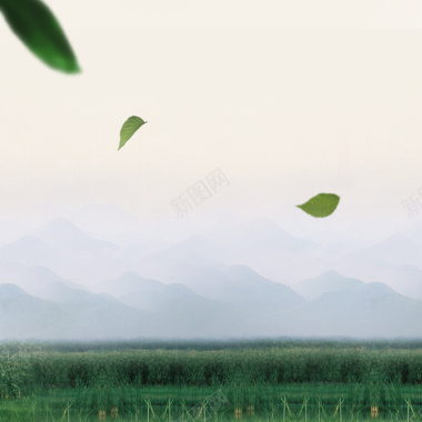 中国风茶叶茶园绿叶飘絮物主图背景背景
