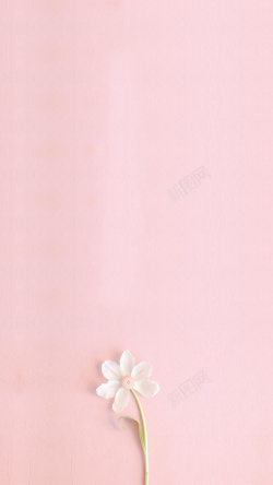 粉红花朵h5粉色文艺清新H5背景高清图片