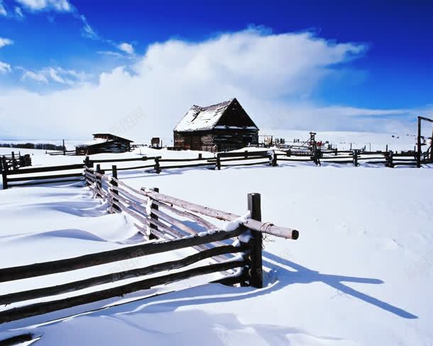 冬季自然美景雪地jpg设计背景_新图网 https://ixintu.com 冬季 美景 自然 雪地