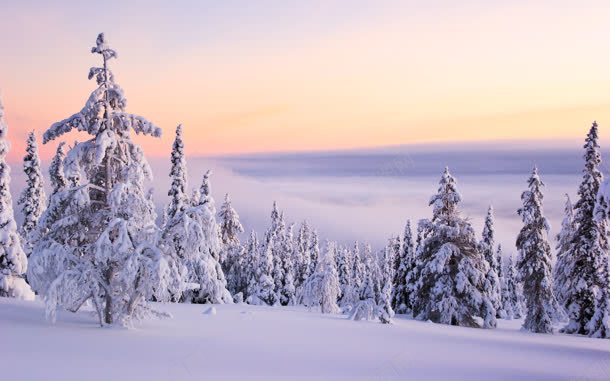 冬季雪景图jpg设计背景_新图网 https://ixintu.com 冬季 雪景