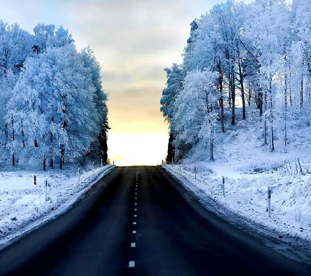 冬季公路森林雪景jpg设计背景_新图网 https://ixintu.com 公路 冬季 森林 雪景
