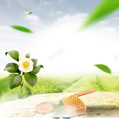 春天蜂蜜自然健康食品绿色飘叶淘宝主图背景