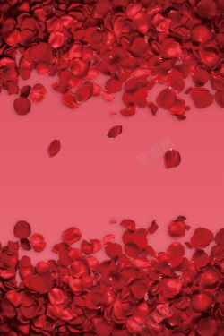 交友互动红色简约玫瑰花瓣浪漫情人节海报背景高清图片