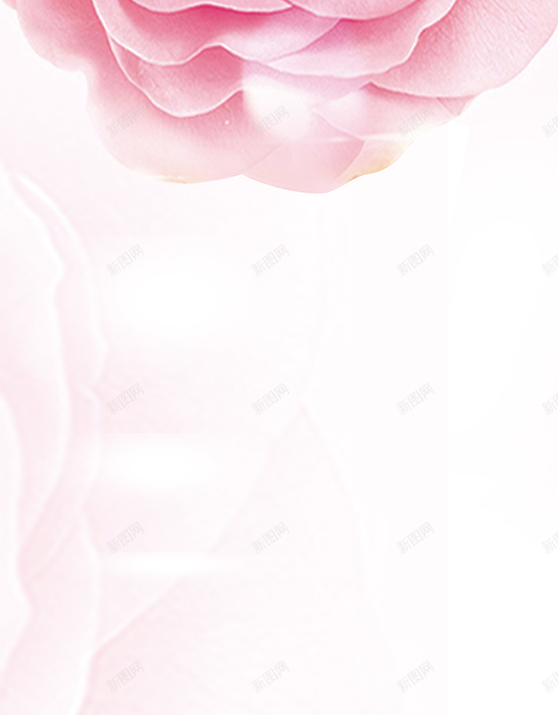 粉色塑形瘦身宣传促销X展架psd设计背景_新图网 https://ixintu.com 化妆品 微整形 护肤品 整形 私密保养 私密整形 粉色 美容 花朵