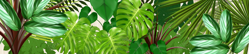 热带植物模板纹理海报背景矢量图ai设计背景_新图网 https://ixintu.com 春天 植物 植物节 海报 热带 纹理 绿色 背景 矢量图