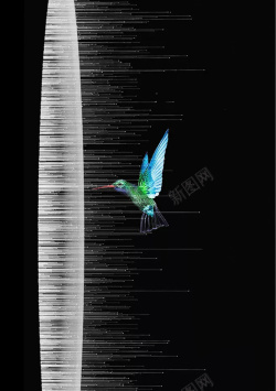 高清蜂鸟忙碌的蜂鸟海报高清图片