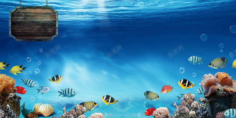 唯美海底世界海洋海报背景模板psd设计背景_新图网 https://ixintu.com 促销海报 唯美 夏季促销 彩色鱼群 海底世界 海报背景模板 海洋素材 珊瑚 蓝色海洋