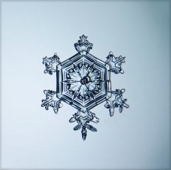 雪花结构图片图片尖角雪花结构高清图片